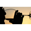 Landelijk erkende wijncursus in De Brink