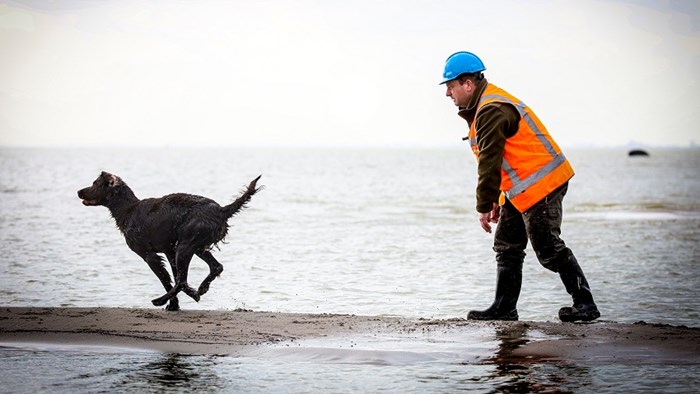 De hond Nola met ecoloog John van den Belt