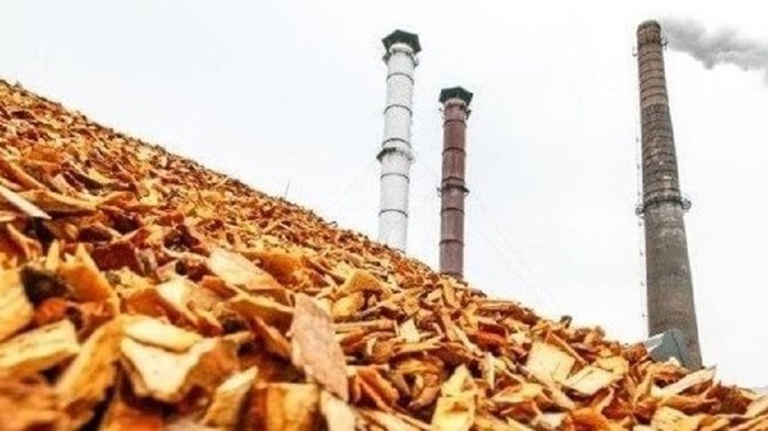 Klimaatakkoord biomassa