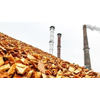 Zonder biomassa doelen Klimaatakkoord onhaalbaar