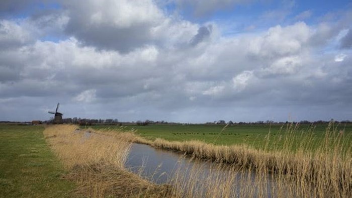 Noord-Hollands landschap