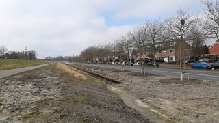 Bomen geplant aan de Willemsweg 2