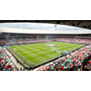 Fans naar rechter om faillissement van Feyenoord te voorkomen