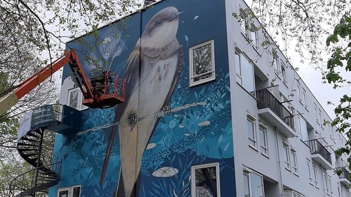 Westfriese Hof op de eerste flat schildert Collin van der Sluijs de oeverzwaluw naar rechts, de toekomst in kijkend 3