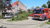 Voertuigbrand op Waterman in Hoorn