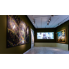 Westfries Museum verlengt expositie over beschilderd behang  