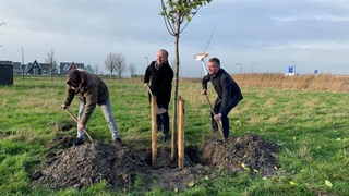 Wethouder Simon Broersma plantte donderdag 9 december één van de eerste bomen in het wijkpark