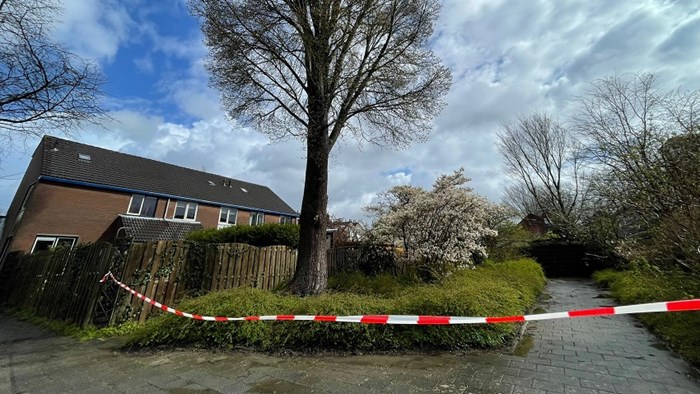 Drie woningen uit voorzorg ontruimd ivm instabiele boom in Zwaag