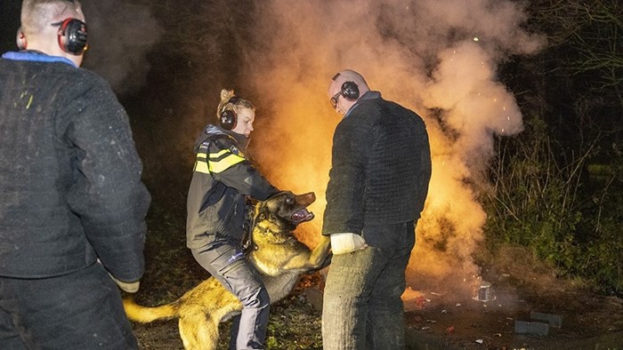 Grote oefening om politiehonden aan vuurwerk te laten wennen ivm Oud en Nieuw