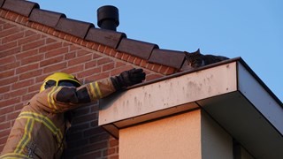 Brandweer redt kat uit dakgoot5