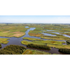 Aanvraag van € 110 miljoen voor herstel Noord-Hollandse natuur